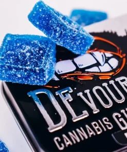 Devour Gummies Blue Raspberry 100mg