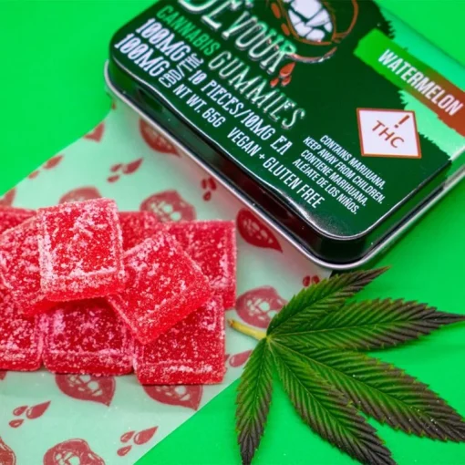 Devour Gummies Watermelon 1:1 THC:CBD